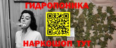 spice Лесосибирск