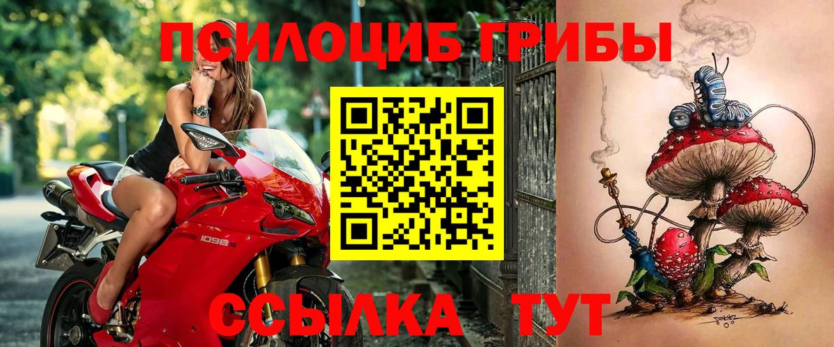 Галлюциногенные грибы прущие грибы Чита